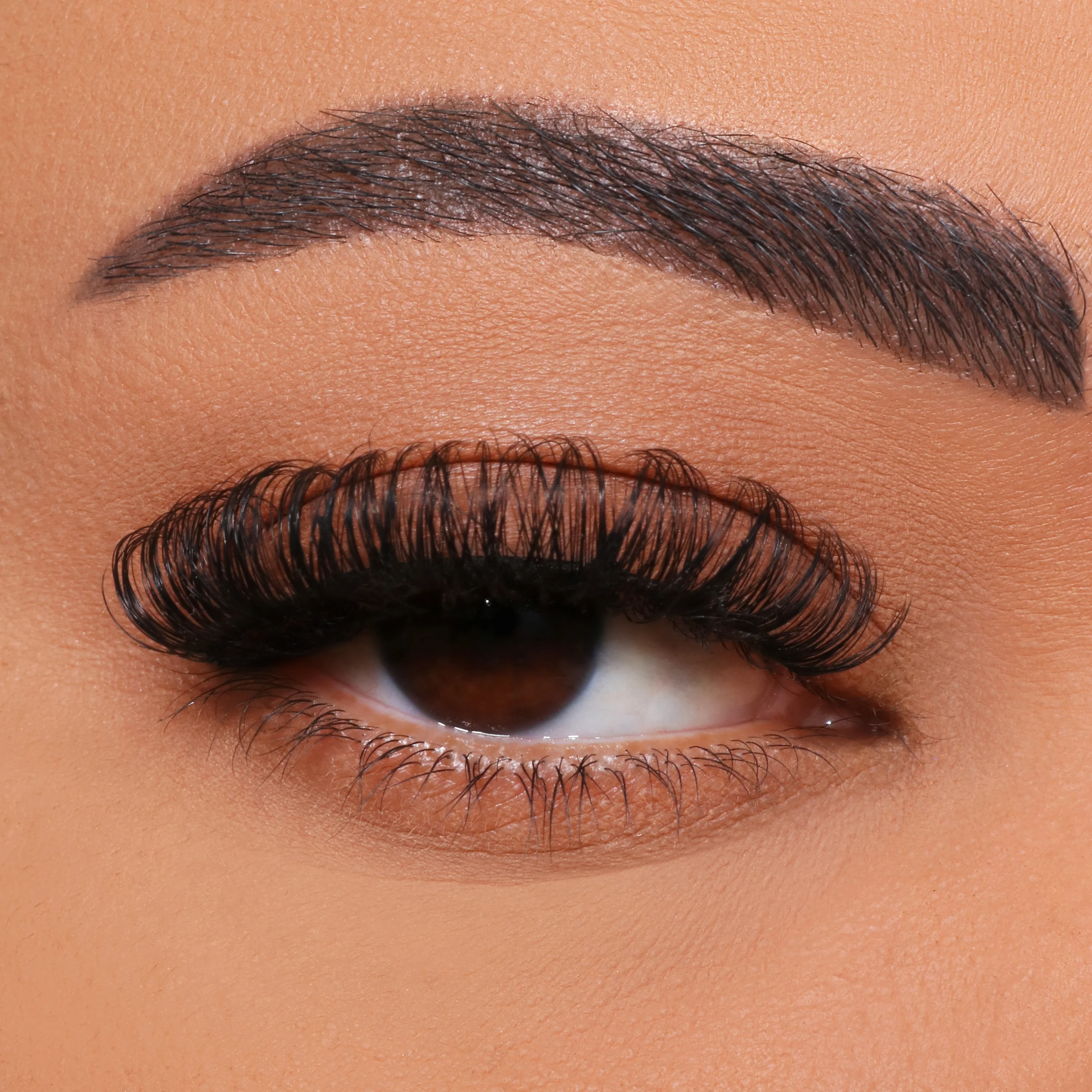 Bagaimana cara pencangkokan bulu mata multi-bunga DIY?